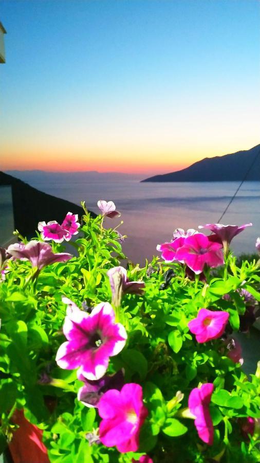 Alkyon Suites Agios Vasilios  Kültér fotó